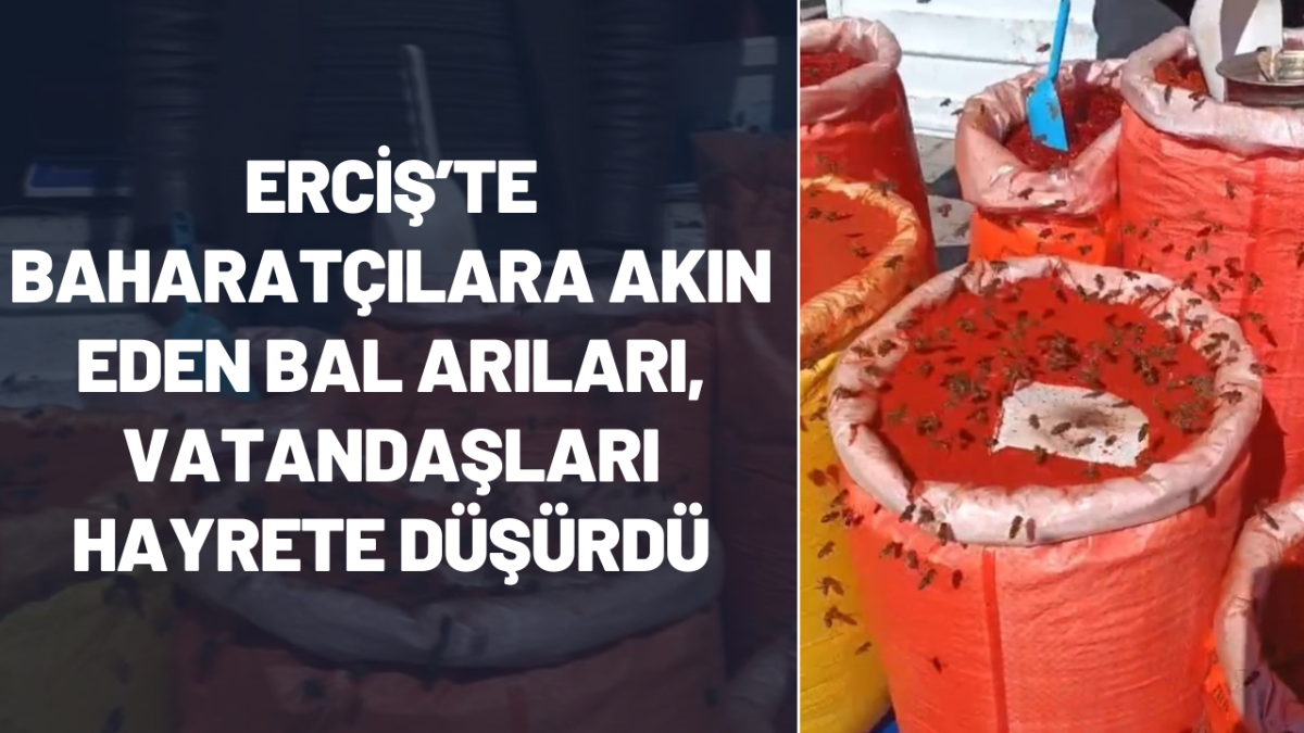 Erciş’te Baharatçılara Akın Eden Bal Arıları, Vatandaşları Hayrete Düşürdü