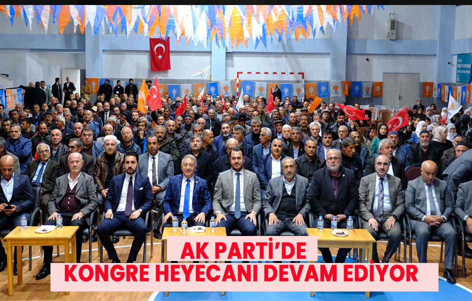 VAN AK PARTİ'DE KONGRE HEYECANI DEVAM EDİYOR